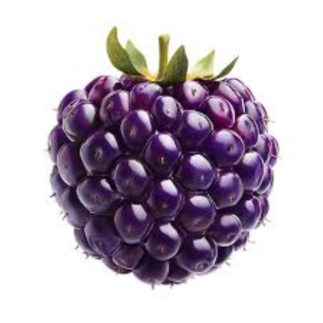 FRUITFULL BLACKBERRY GRAPE 100ML